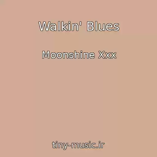 کاور آهنگ Walkin' Blues از Moonshine Xxx