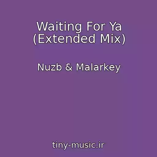 کاور آهنگ Waiting For Ya (Extended Mix) از Nuzb & Malarkey