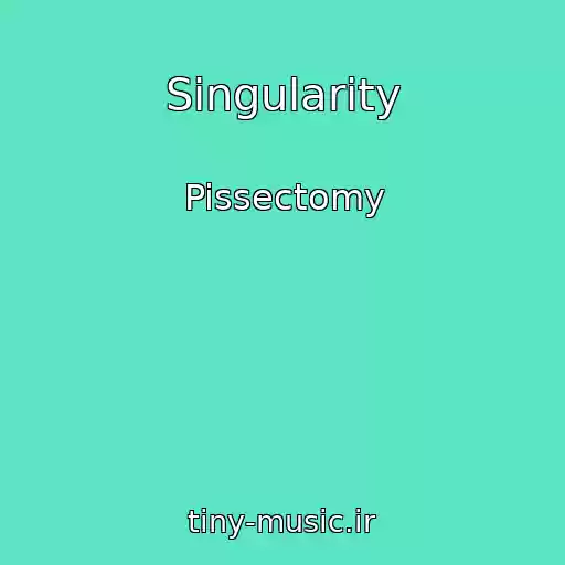 کاور آهنگ Singularity از Pissectomy
