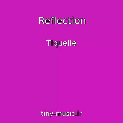 کاور آهنگ Reflection از Tiquelle