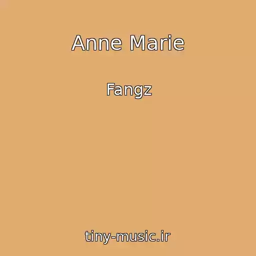 کاور آهنگ Anne Marie از Fangz