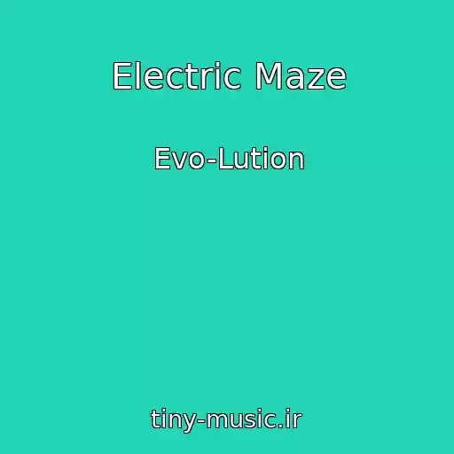 کاور آهنگ Electric Maze از Evo-Lution