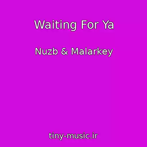 کاور آهنگ Waiting For Ya از Nuzb & Malarkey