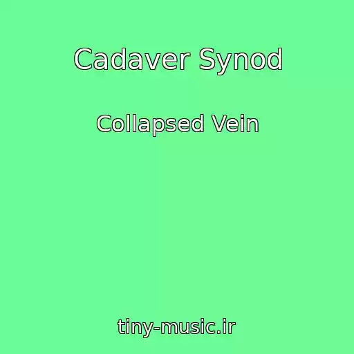 کاور آهنگ Cadaver Synod از Collapsed Vein