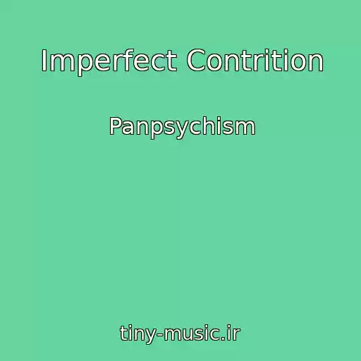 کاور آهنگ Imperfect Contrition از Panpsychism