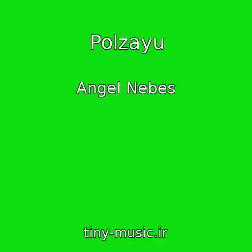 کاور آهنگ Polzayu از Angel Nebes
