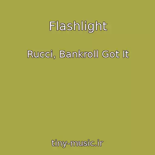 کاور آهنگ Flashlight از Rucci, Bankroll Got It