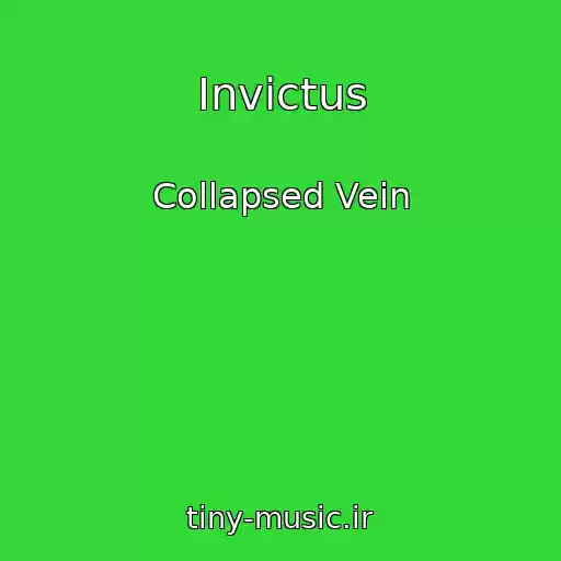 کاور آهنگ Invictus از Collapsed Vein