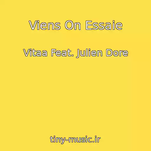 کاور آهنگ Viens On Essaie از Vitaa Feat. Julien Dore