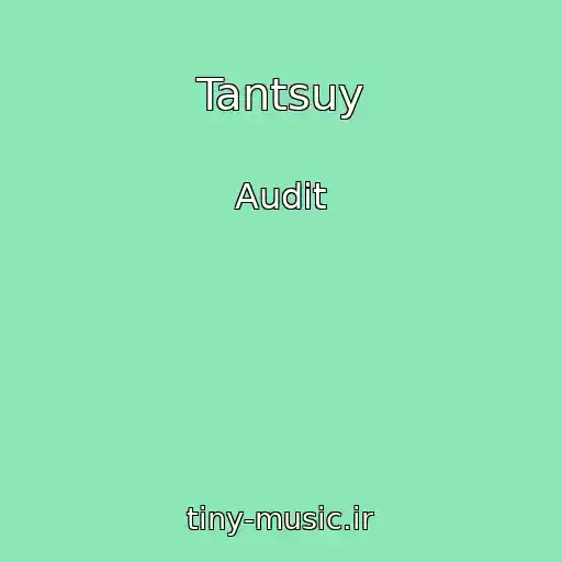 کاور آهنگ Tantsuy از Audit