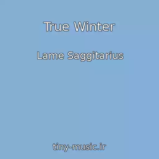 کاور آهنگ True Winter از Lame Saggitarius