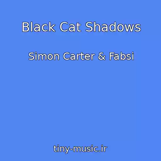کاور آهنگ Black Cat Shadows از Simon Carter & Fabsi