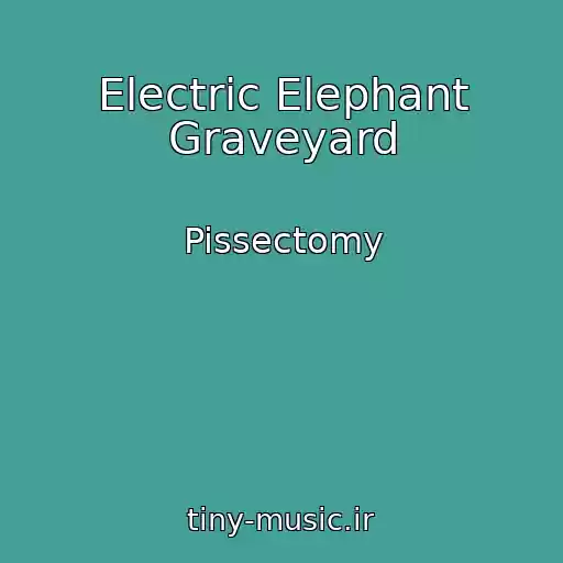 کاور آهنگ Electric Elephant Graveyard از Pissectomy