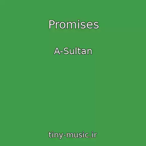 کاور آهنگ Promises از A-Sultan