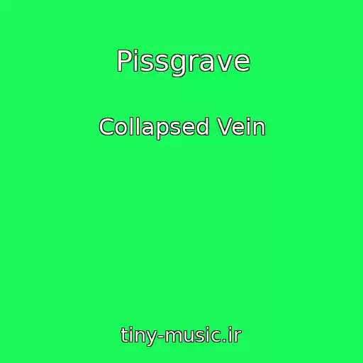 کاور آهنگ Pissgrave از Collapsed Vein
