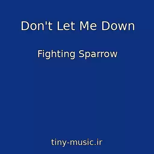 کاور آهنگ Don't Let Me Down از Fighting Sparrow