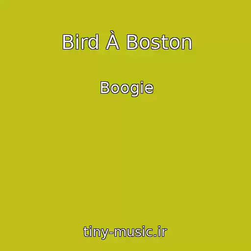 کاور آهنگ Bird À Boston از Boogie