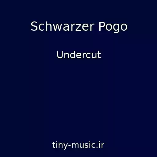 کاور آهنگ Schwarzer Pogo از Undercut
