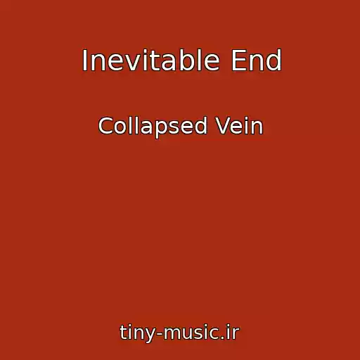 کاور آهنگ Inevitable End از Collapsed Vein