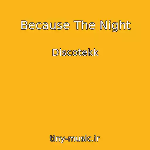 کاور آهنگ Because The Night از Discotekk