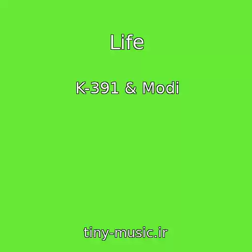 کاور آهنگ Life از K-391 & Modi