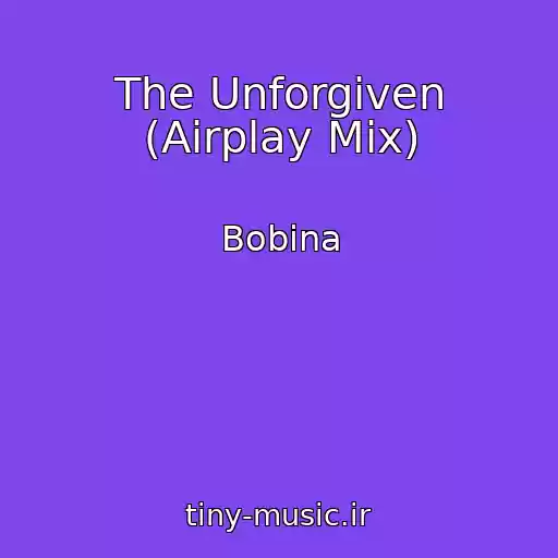 کاور آهنگ The Unforgiven (Airplay Mix) از Bobina