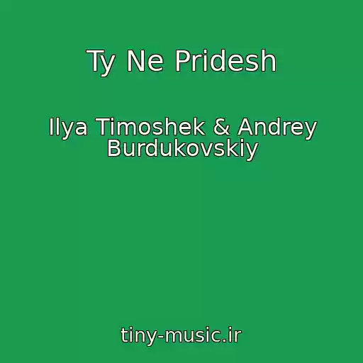 کاور آهنگ Ty Ne Pridesh از Ilya Timoshek & Andrey Burdukovskiy