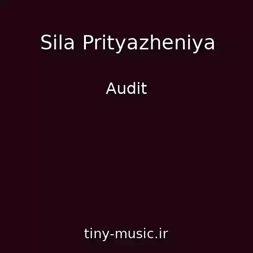 کاور آهنگ Sila Prityazheniya از Audit