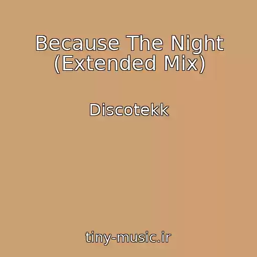 کاور آهنگ Because The Night (Extended Mix) از Discotekk