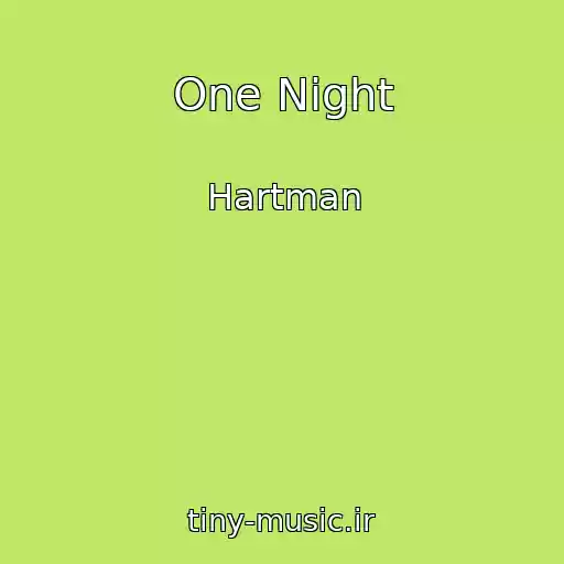 کاور آهنگ One Night از Hartman