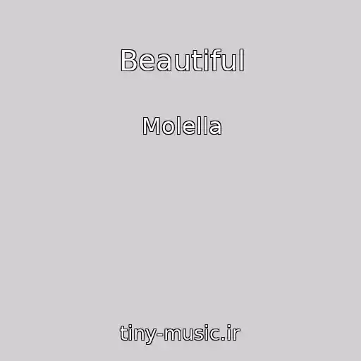 کاور آهنگ Beautiful از Molella