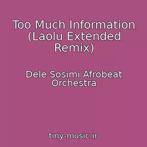 کاور آهنگ Too Much Information (Laolu Extended Remix) از Dele Sosimi Afrobeat Orchestra