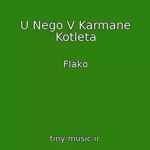 کاور آهنگ U Nego V Karmane Kotleta از Flako