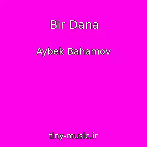 کاور آهنگ Bir Dana از Aybek Bahamov