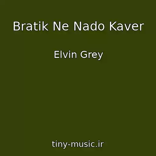 کاور آهنگ Bratik Ne Nado Kaver از Elvin Grey