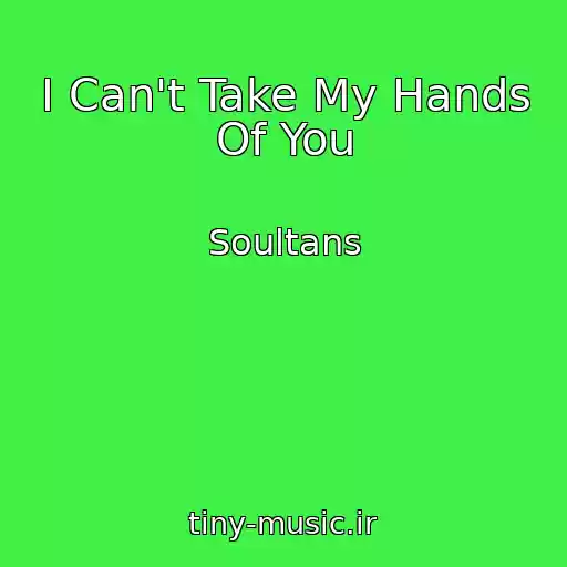 کاور آهنگ I Can't Take My Hands Of You از Soultans
