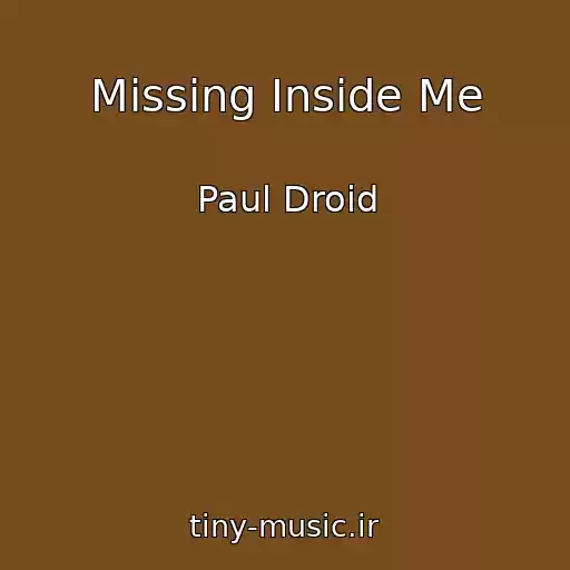 کاور آهنگ Missing Inside Me از Paul Droid