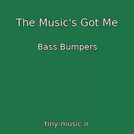 کاور آهنگ The Music's Got Me از Bass Bumpers