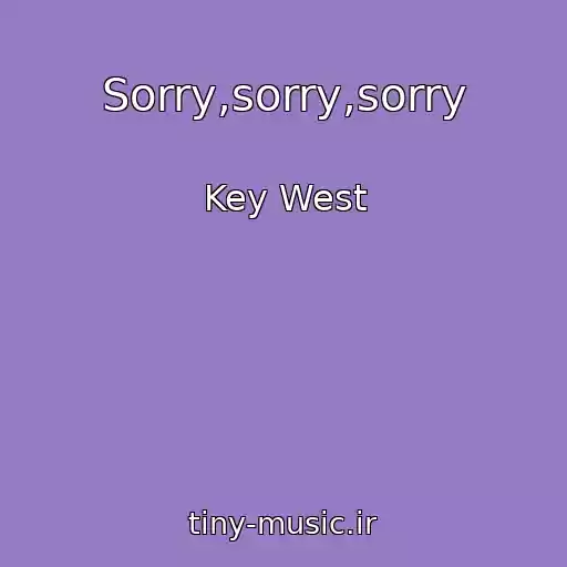کاور آهنگ Sorry,sorry,sorry از Key West