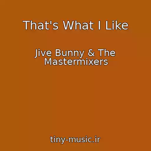 کاور آهنگ That's What I Like از Jive Bunny & The Mastermixers