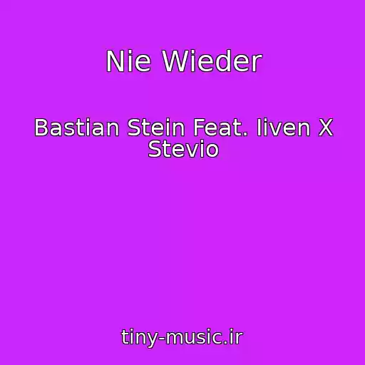 کاور آهنگ Nie Wieder از Bastian Stein Feat. Iiven X Stevio