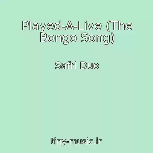 کاور آهنگ Played-A-Live (The Bongo Song) از Safri Duo