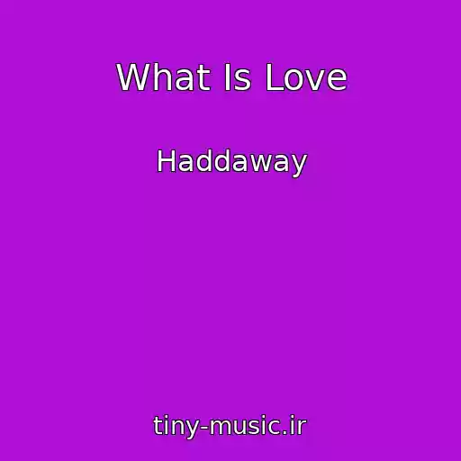 کاور آهنگ What Is Love از Haddaway