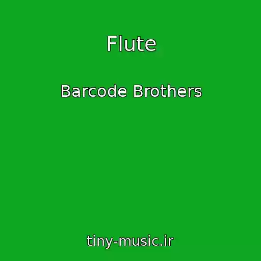 کاور آهنگ Flute از Barcode Brothers