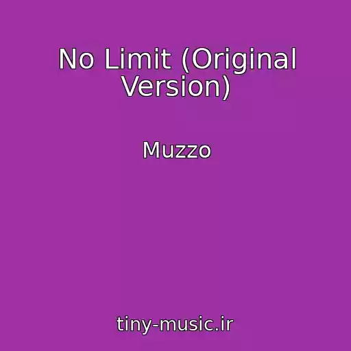 کاور آهنگ No Limit (Original Version) از Muzzo