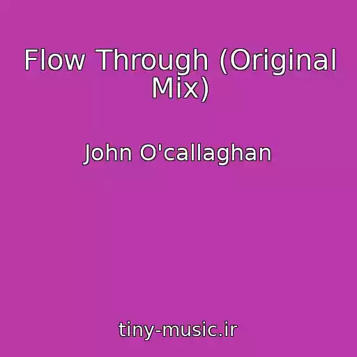 کاور آهنگ Flow Through (Original Mix) از John O'callaghan