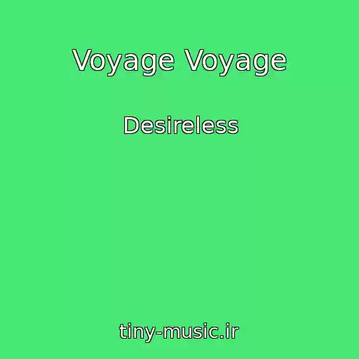 کاور آهنگ Voyage Voyage از Desireless