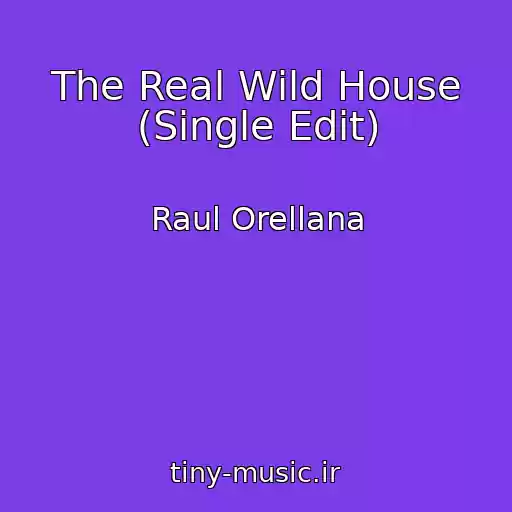 کاور آهنگ The Real Wild House (Single Edit) از Raul Orellana