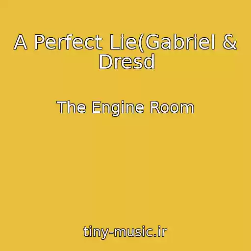 کاور آهنگ A Perfect Lie(Gabriel & Dresd از The Engine Room