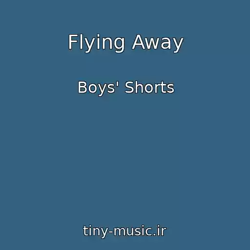 کاور آهنگ Flying Away از Boys' Shorts